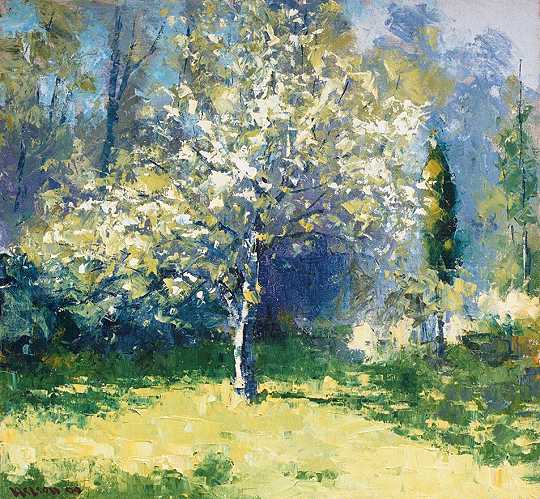 Pear Tree, Afternoon Light