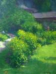 Landscape Collection