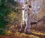 Landscapes 2011