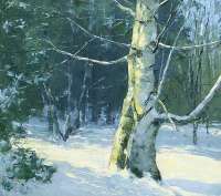 Sunlit Birch, March