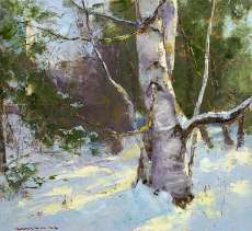 The Birch in Winter
